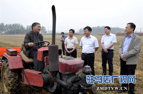 陳星深入遂平西平縣調(diào)研指導“三夏”生產(chǎn)