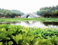 古柳垂堤風(fēng)淡淡，新荷漫沼葉田田。