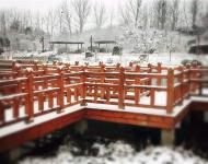 連已經(jīng)結(jié)冰的湖水邊、橋欄上，都留下了這個冬天最美的一幕！