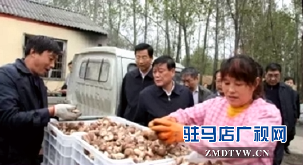 余學友深入泌陽縣調(diào)研指導(dǎo)產(chǎn)業(yè)扶貧工作