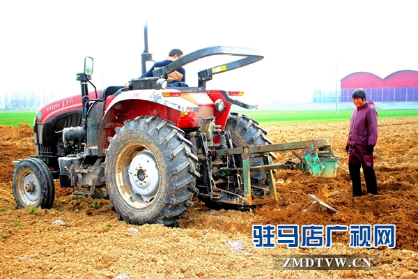 古塔街道機(jī)械挖樹(shù)穴.JPG