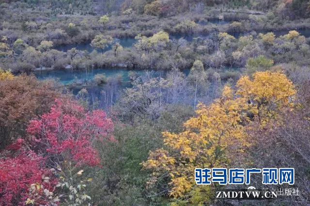 秋，落紅------