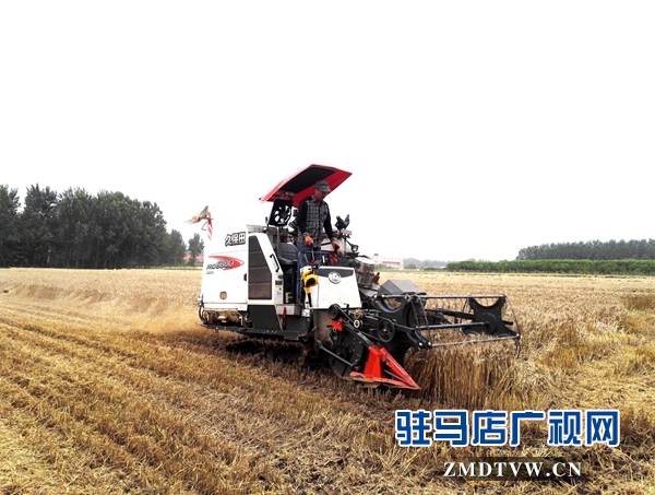 IMG_20180527_055740_副本 - 復件.jpg
