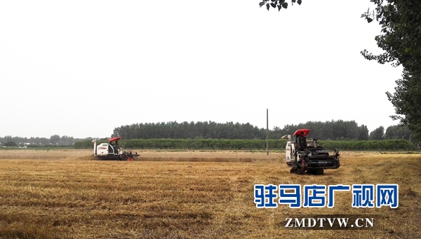 IMG_20180527_055243_副本 - 復件.jpg