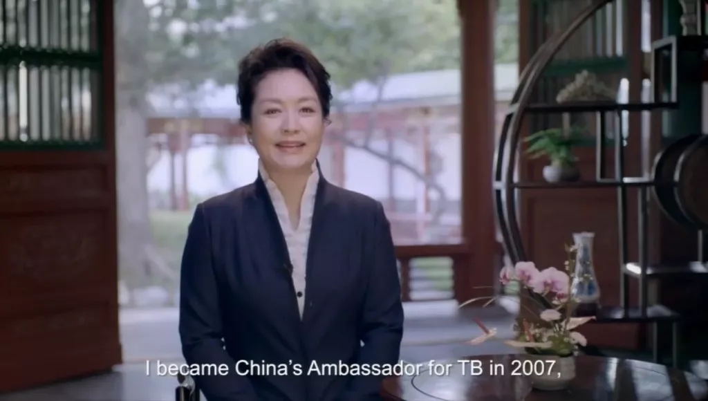 彭麗媛在聯(lián)合國大會上發(fā)表英文視頻講話，呼吁大家關(guān)注這件事！