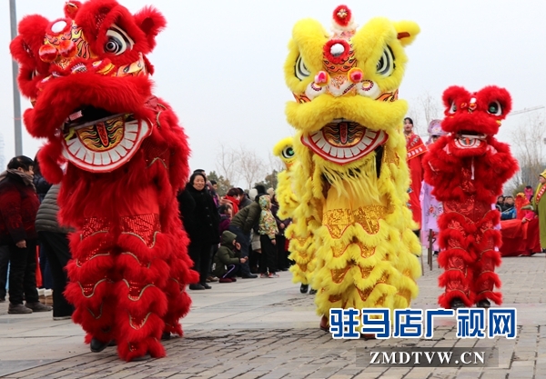 舞龍、耍獅、扭秧歌 駐馬店民間藝術(shù)展演吸引數(shù)千市民圍觀