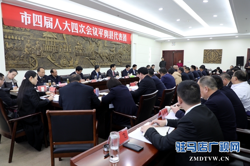 朱是西參加平輿代表團(tuán)的審議政府工作報告，聆聽代表發(fā)言。
