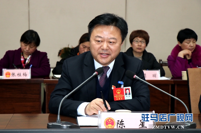 陳星參加上蔡代表團(tuán)的審議政府工作報告時發(fā)言。