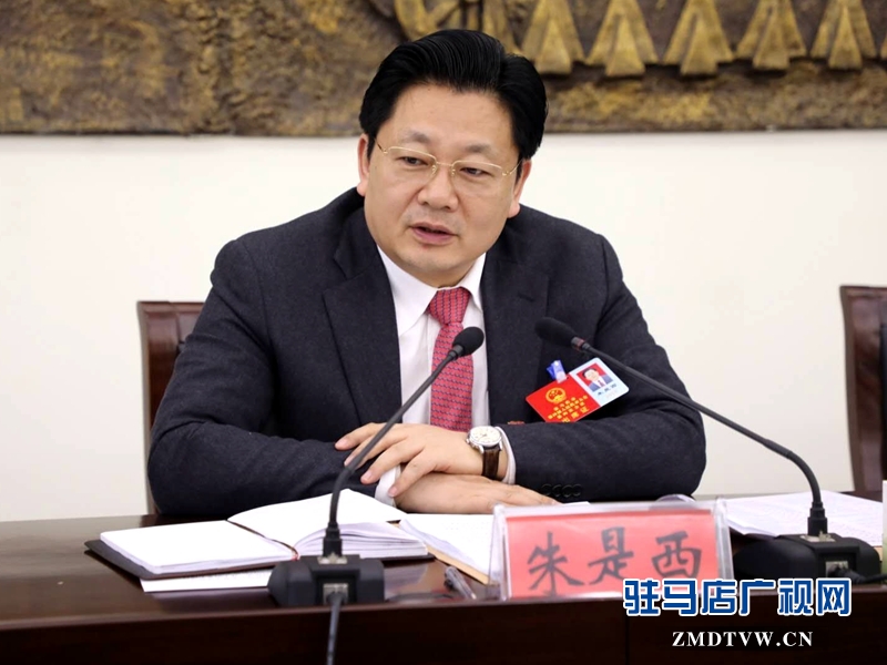 朱是西參加平輿代表團(tuán)的審議政府工作報告時發(fā)言。