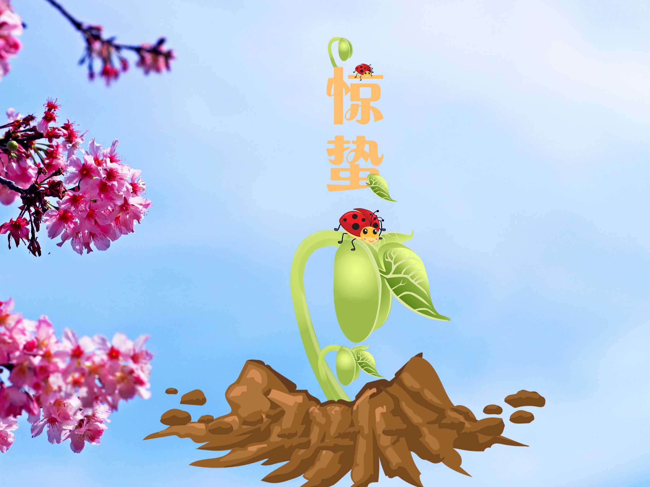 “善變”的驚蟄來(lái)了！防蟲(chóng)“十八般武藝”你Get了嗎？
