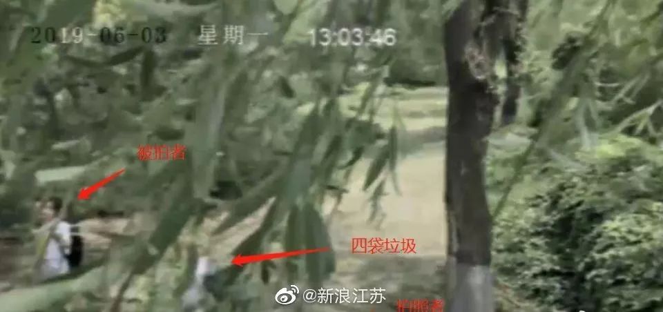 新時(shí)代的網(wǎng)紅靠什么才能“躺贏”？ 