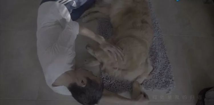 45歲樸樹錄節(jié)目突然離場：我歲數(shù)大了，要回家睡覺了…… 