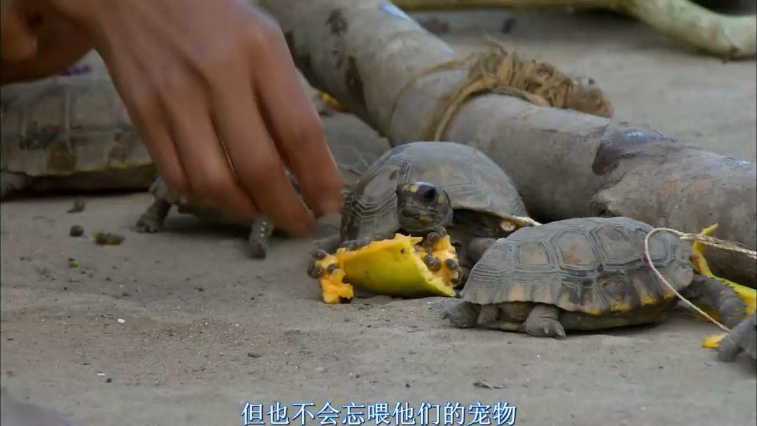 刷屏朋友圈的假「圣母」，今天必須拆穿 