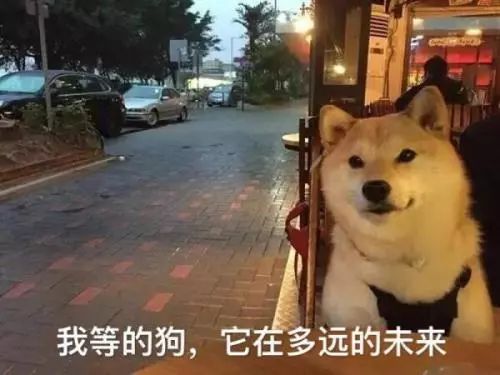 鄭州青年單身率67.57%，全國單身人口已超2億：你為什么單身？ 