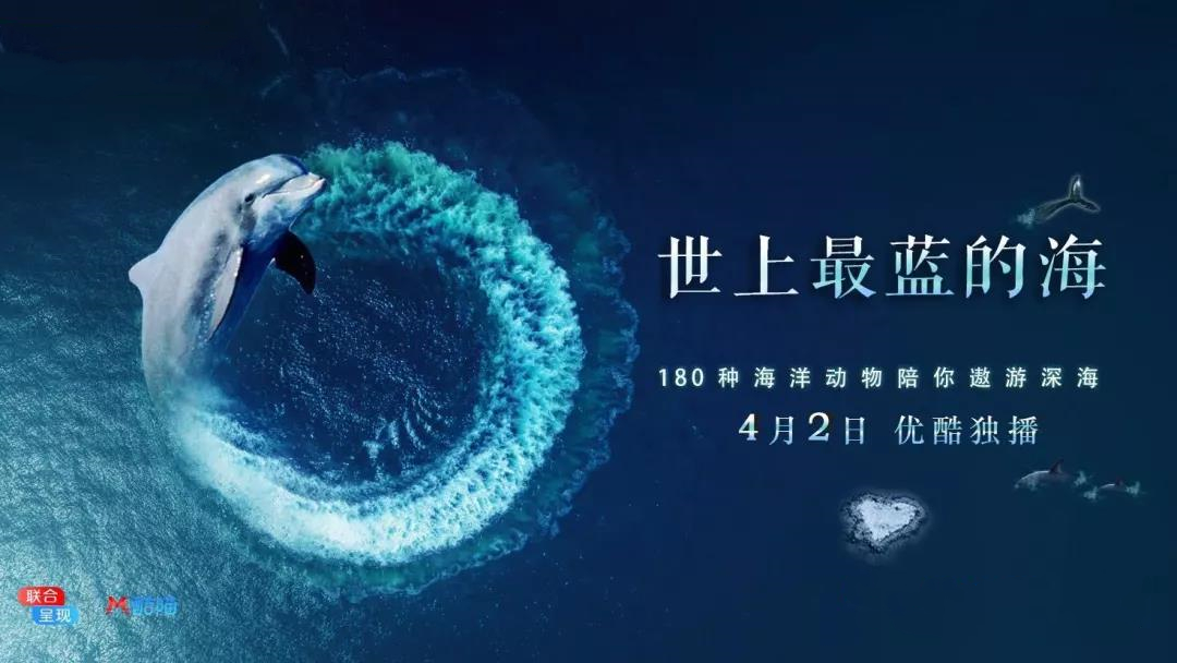 大堡礁5至25年內(nèi)將消失！未來，我們可能再也見不到了 | 正在消失的世界記憶 