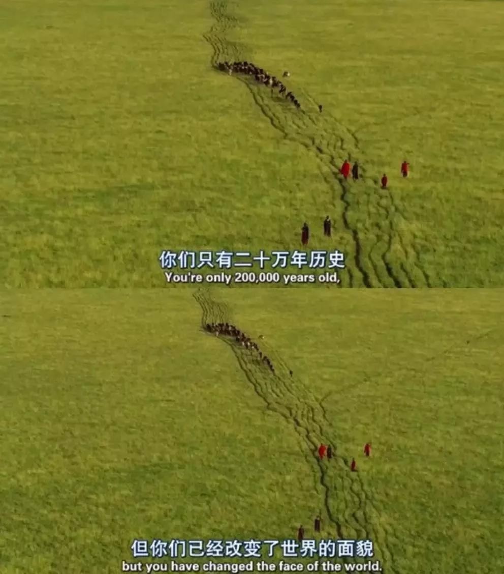大堡礁5至25年內(nèi)將消失！未來，我們可能再也見不到了 | 正在消失的世界記憶 