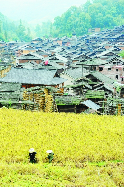 生態(tài)之美裝扮美麗中國(guó)