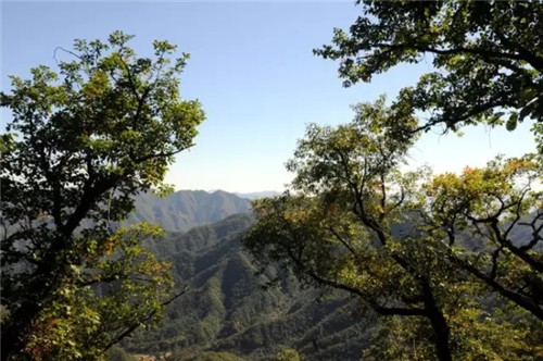 降溫后去哪里玩兒？嵩縣這幾個(gè)地方將驚艷全國(guó)