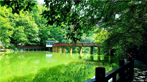 降溫后去哪里玩兒？嵩縣這幾個(gè)地方將驚艷全國(guó)