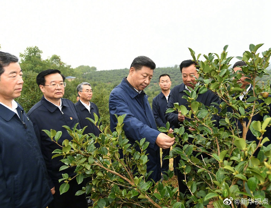 習(xí)近平：路子找到了，就要大膽去做