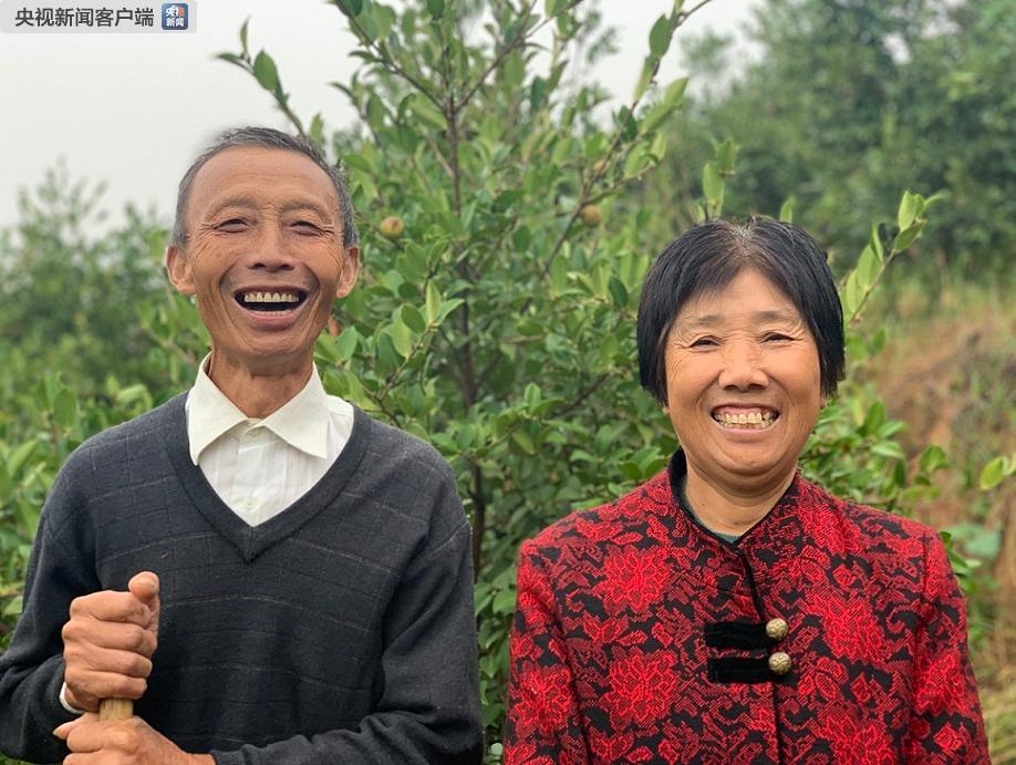 時(shí)政新聞眼丨半年之后又“豫”見(jiàn)，習(xí)近平一天連看五個(gè)考察點(diǎn)
