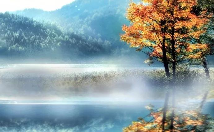 詩(shī)詞丨木葉落，秋分至，正是一年最美時(shí) 