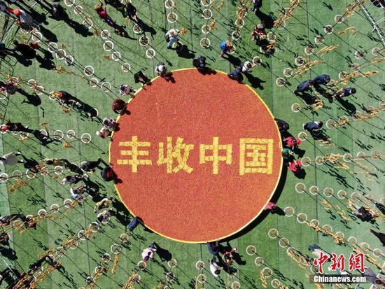 竹竿上“長”油條，洛陽民眾“摘”油條慶豐收