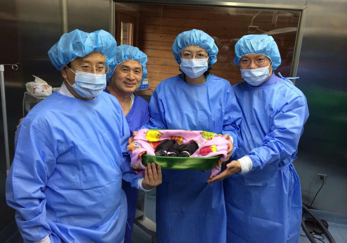 中國首只克隆貓回家了，你會花 38 萬跟去世的寵物再續(xù)前緣嗎？