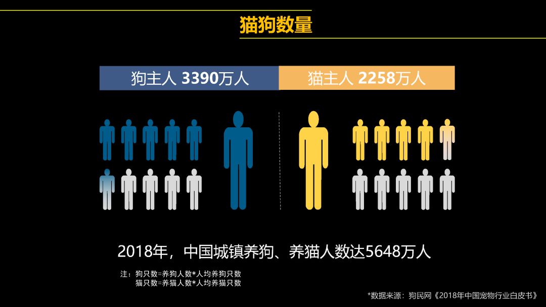 中國首只克隆貓回家了，你會花 38 萬跟去世的寵物再續(xù)前緣嗎？