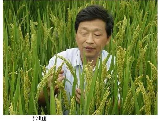 我們有多少位知青出身的兩院院士？ 