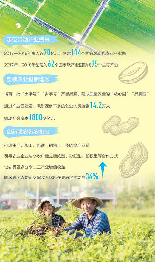 小花生“長(zhǎng)”成大產(chǎn)業(yè)（田間追蹤高質(zhì)量）