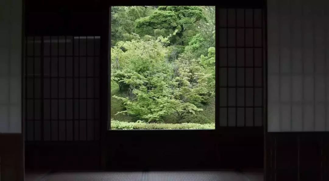 真正的審美是與美保持距離，而不是占有