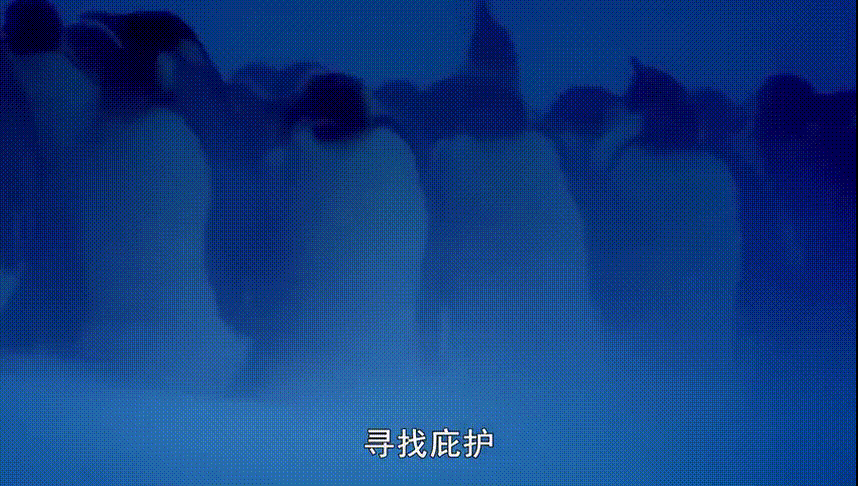 極寒下的溫情：從九死一生到堅強無畏，不過是爸媽不斷逼了我一把 