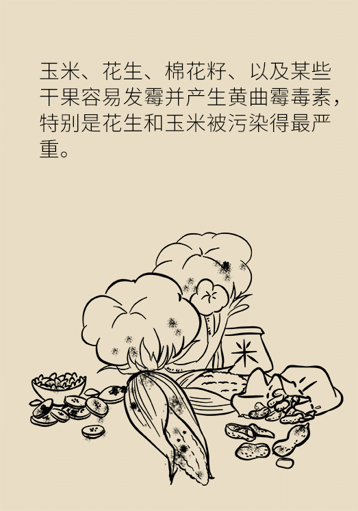 發(fā)霉食物不能吃安全糧油怎么選？