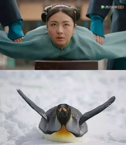 都2020年了，這種辣眼劇怎么還沒滅絕 