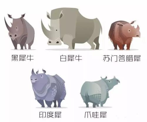 滅絕的不只長(zhǎng)江白鱘，在中國(guó)，這些物種也已消失…… 