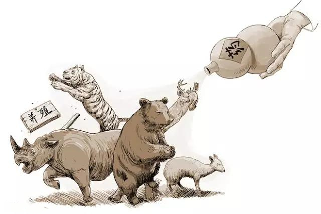 滅絕的不只長(zhǎng)江白鱘，在中國(guó)，這些物種也已消失…… 