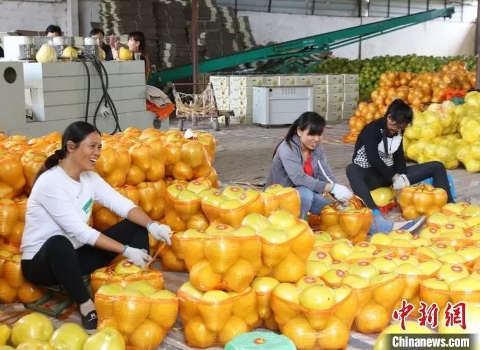 春節(jié)豬肉、蔬菜、水果會集體漲價？農(nóng)業(yè)農(nóng)村部回應