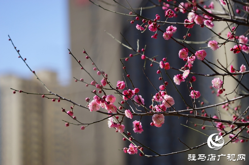 窗外，暖意融融