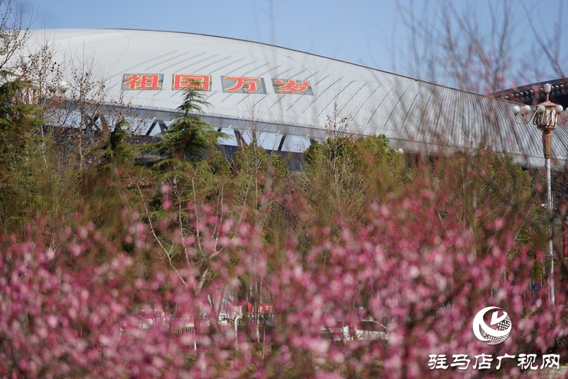 戰(zhàn)疫，熱火朝天