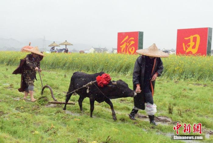 春分習(xí)俗知多少？流行“豎蛋”游戲 校對度量衡器具