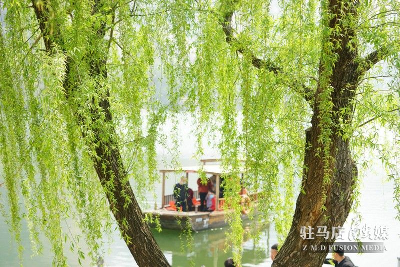 終于等到你，美麗大駐馬
