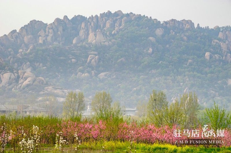 終于等到你，美麗大駐馬