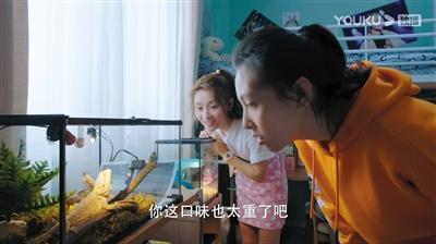 寵物演員參演劇集，絕不是走過場 