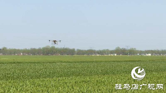 正陽縣啟動(dòng)2020年小麥重大病蟲害“統(tǒng)防統(tǒng)治”氣象保障服務(wù)