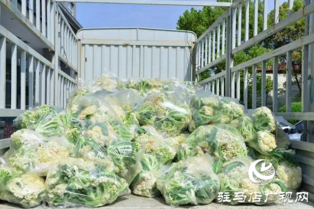上蔡縣：文明單位伸援手，以購(gòu)代捐解民憂