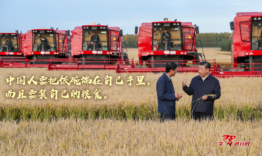 習(xí)近平強(qiáng)調(diào)的這個(gè)“安全”，當(dāng)下意義更加凸顯