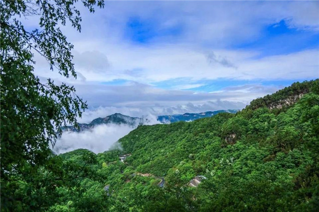云臺山現云海奇觀 美若仙境
