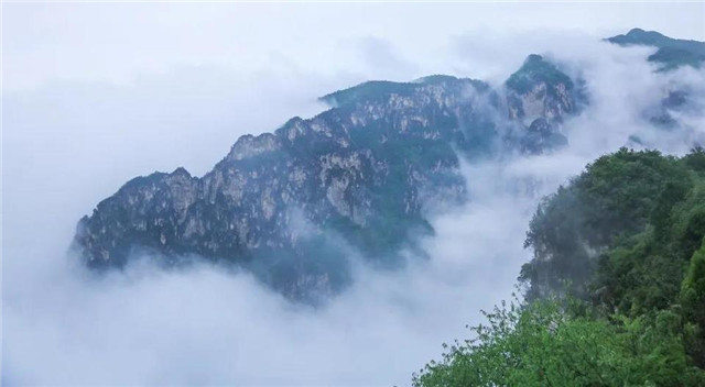云臺山現云海奇觀 美若仙境