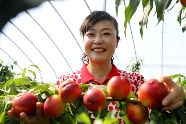 黨員為農(nóng)產(chǎn)品代言，政協(xié)助力脫貧攻堅(jiān)